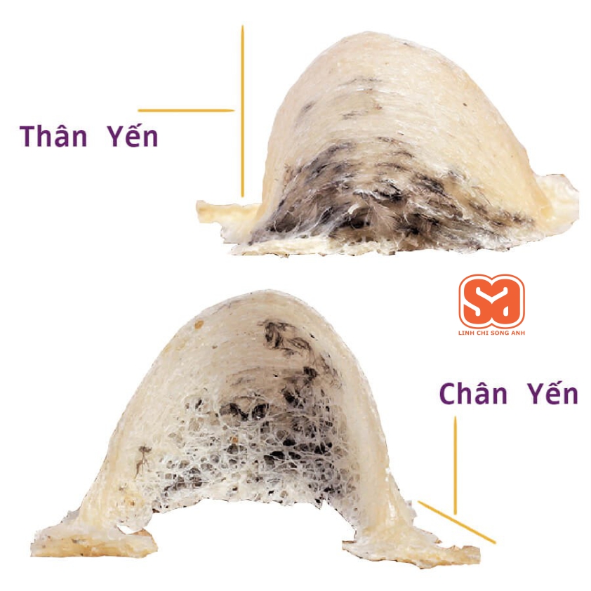 Chân yến 1 SA-100g-3000