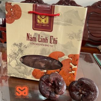 Nam Linh Chi Song Anh 500g