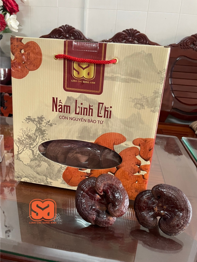 Nam Linh Chi Song Anh 500g